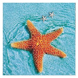 Silver Starfish Post Earrings