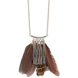 Feathers & Silver Chain Long Necklace