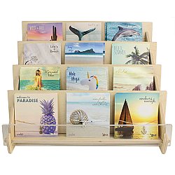 Picture Perfect Anklet Counter Display Program