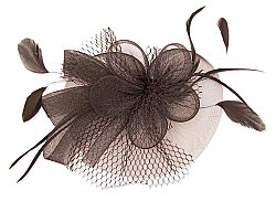 Flower Mesh Flower/Bow & Feather Hair Comb