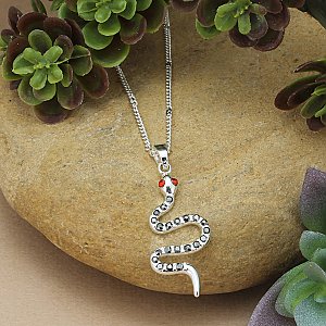 Snake Charmer Silver Serpent Necklace