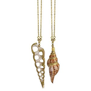 Sea Treasures Foiled Shell Long Necklace