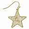 Cottage Floral Dried Flower Star Earring