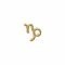 Capricorn Symbol Gold Post Earrings