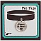 Puppy at Heart Silver Dog Tag Collar Charm