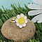Spring Smile White Daisy Happy Face Ring