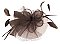Flower Mesh Flower/Bow & Feather Hair Comb